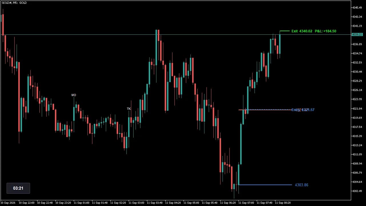 Chart screenshot captured by MT5 EA